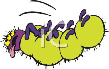 Insect Clipart