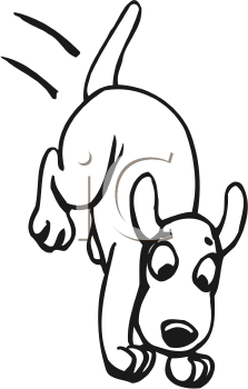 Pet Clipart