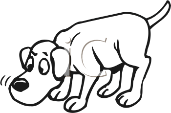 Pet Clipart