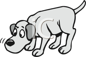 Pet Clipart