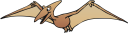 Insect Clipart