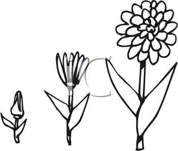 Nature and Scenic Clipart