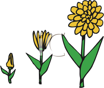Nature and Scenic Clipart