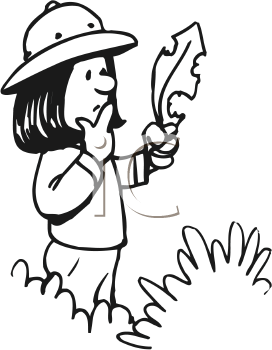 Nature and Scenic Clipart