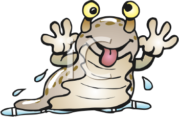 Insect Clipart