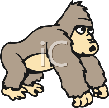 Primate Clipart