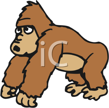 Primate Clipart