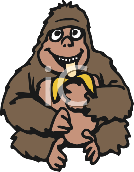 Primate Clipart