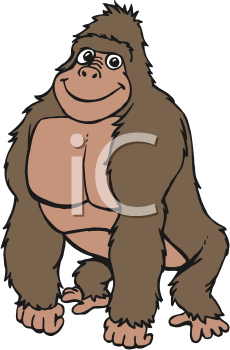 Primate Clipart