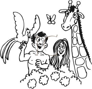 Insect Clipart