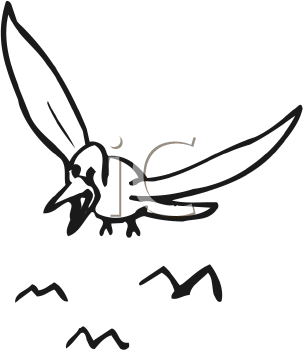 Bird Clipart