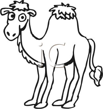 Camel Clipart