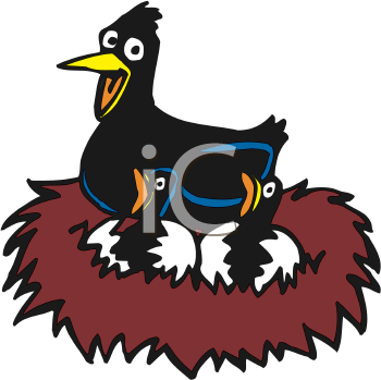 Bird Clipart