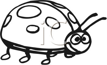 Insect Clipart