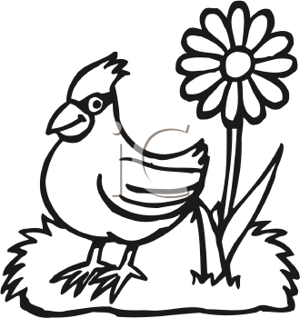 Bird Clipart