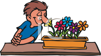 Nature and Scenic Clipart