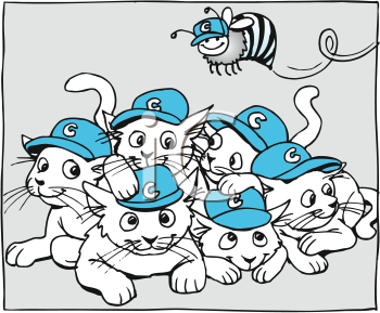 Pet Clipart