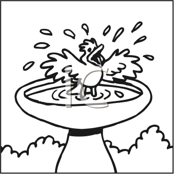 Bird Clipart