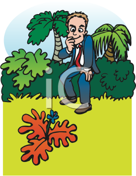 Nature and Scenic Clipart
