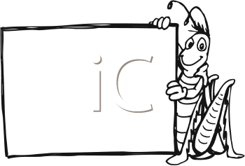 Insect Clipart