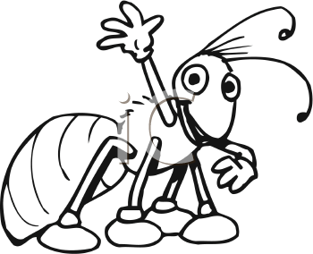 Insect Clipart