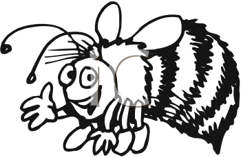 Insect Clipart