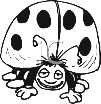 Insect Clipart