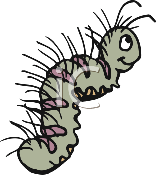 Insect Clipart