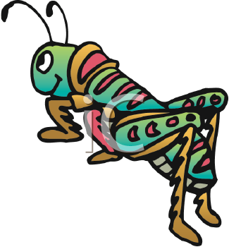 Insect Clipart