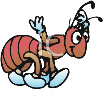 Insect Clipart