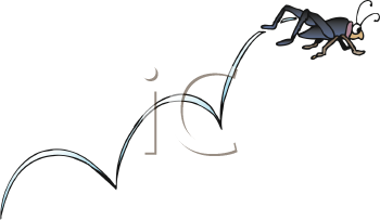 Insect Clipart