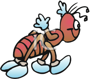 Insect Clipart