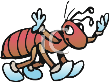 Insect Clipart