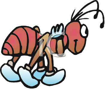 Insect Clipart
