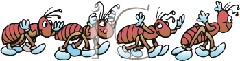 Insect Clipart