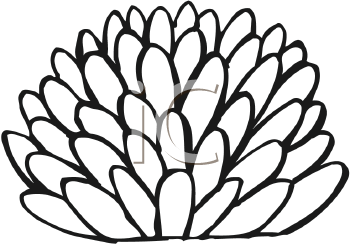 Nature and Scenic Clipart