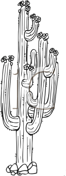 Nature and Scenic Clipart
