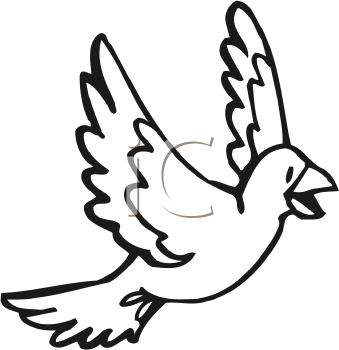 Insect Clipart