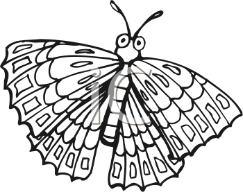 Insect Clipart
