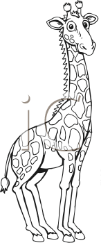 Mammal Clipart