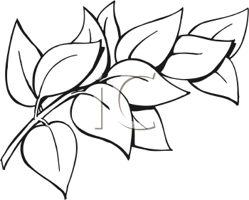 Nature and Scenic Clipart