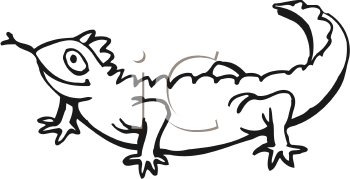 Reptile Clipart