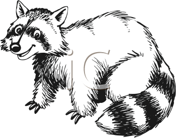 Mammal Clipart