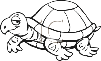 Reptile Clipart