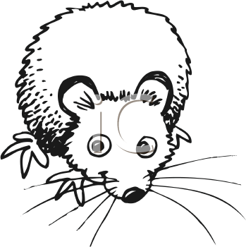 Cartoon Clipart