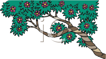 Nature and Scenic Clipart
