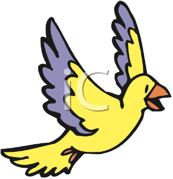 Insect Clipart