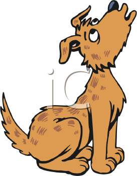 Pet Clipart