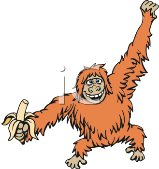 Primate Clipart