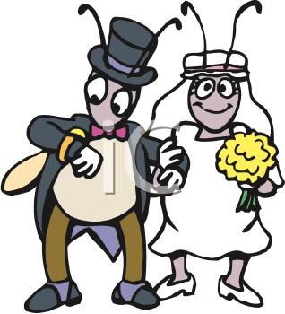 Insect Clipart